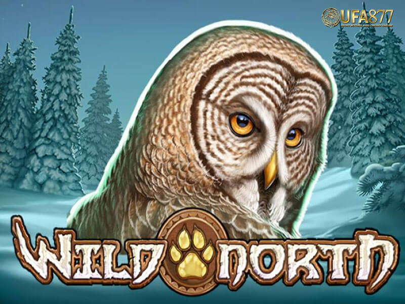 Wild Wild North Slot