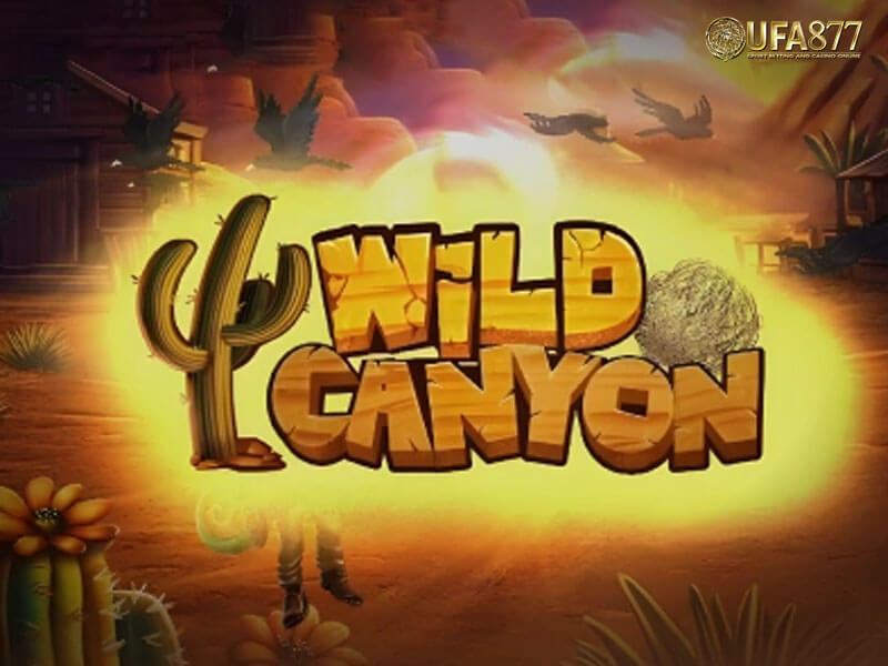 Wild Canyon